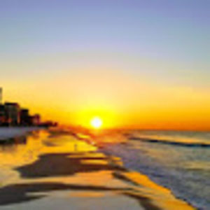 Meet your Posher, Sydney